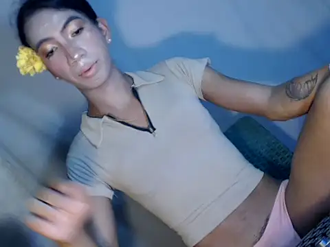 xyourdreamtrans online show from 02/01/26, 05:06