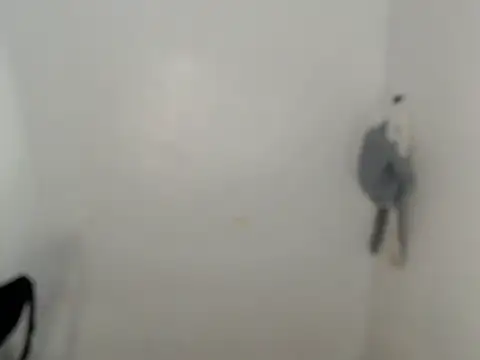 ynotyu online show from 03/29/26, 05:18