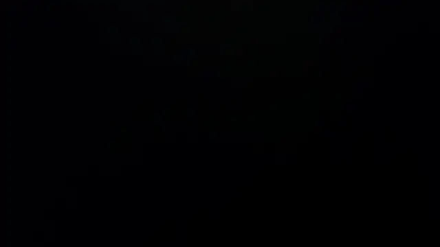 bossking017 online show from 02/19/26, 04:03