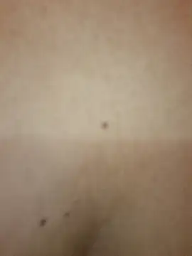 Luna 20x online show from 10/08/25, 07:22