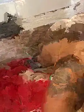 morenaluaa online show from 10/22/25, 04:40