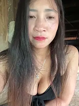 ThiHa003 online show from 02/26/26, 08:13