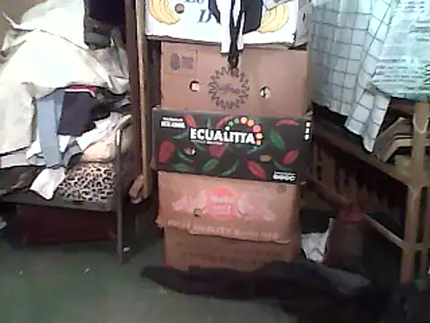 A1B3- online show from 12/14/25, 02:44