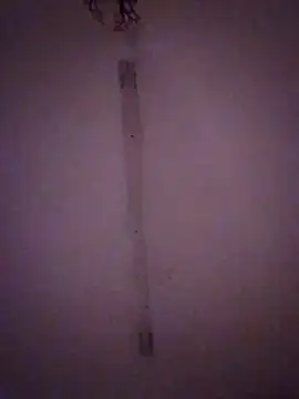 Bebita-zmp online show from 03/28/26, 02:11