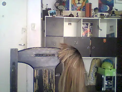Bebita-zmp online show from 05/21/26, 04:03