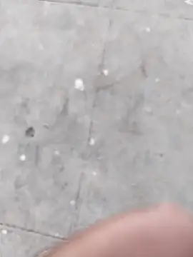 Wet BunnyFun online show from 11/05/25, 12:05