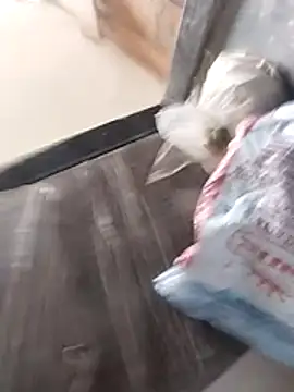 Wet BunnyFun online show from 02/25/26, 10:03