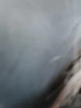 meomeocute online show from 03/11/26, 10:21