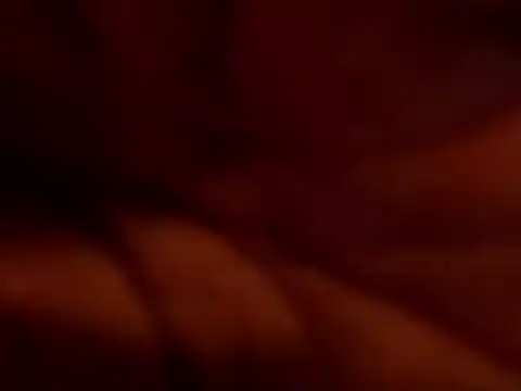 TRANSPORNIDOL online show from 11/22/25, 07:24