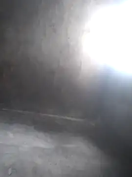 Chaotam1 online show from 11/07/25, 07:30