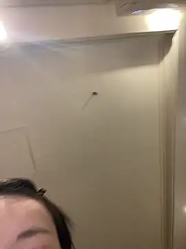 MengMeng0515 online show from 03/11/26, 02:23