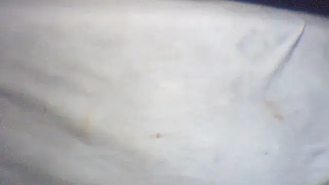 pietje1991 online show from 02/25/26, 01:43