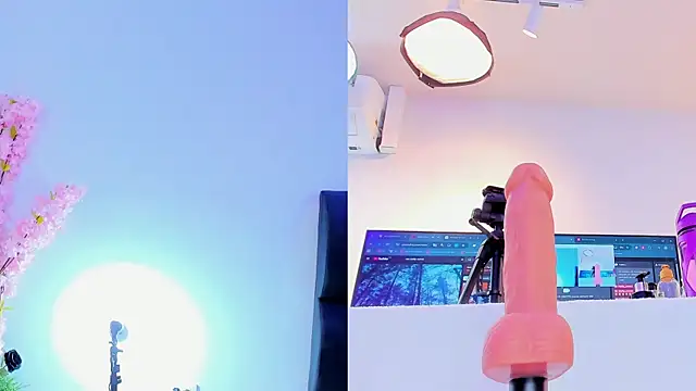 maily zanss online show from 02/19/26, 08:05