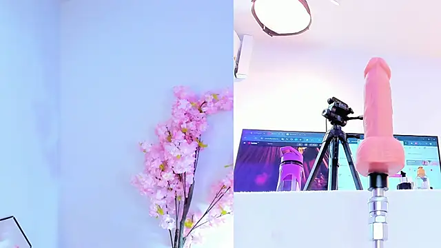 maily zanss online show from 03/04/26, 07:42