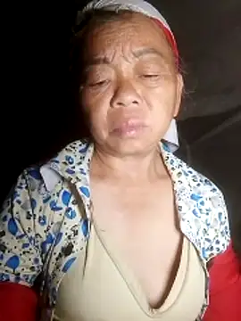 Snapshot of VangLe73 chatting on 10/15/25, 01:11 VangLe73 online show from 10/15/25, 01:11