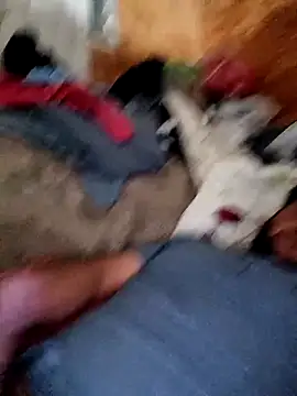 alber907 online show from 02/04/26, 12:33