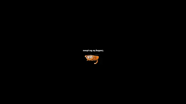 Snapshot of pecsblack888 chatting on 09/29/25, 06:46 pecsblack888 online show from 09/29/25, 06:46