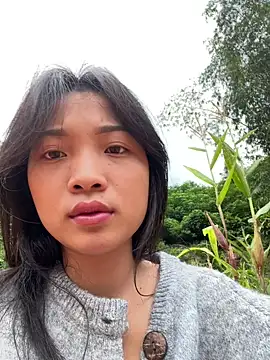 Snapshot of Phayphay77 chatting on 11/03/25, 08:37 Phayphay77 online show from 11/03/25, 08:37