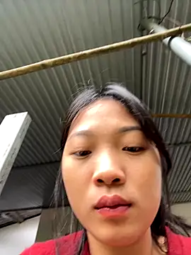 Snapshot of Phayphay77 chatting on 11/21/25, 01:48 Phayphay77 online show from 11/21/25, 01:48