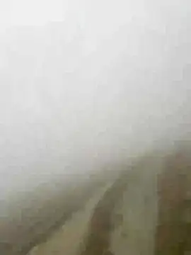 Phayphay77 online show from 01/15/26, 08:08