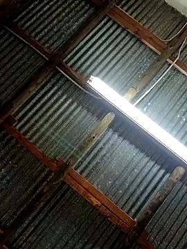 Fizozoo online show from 09/21/25, 04:58