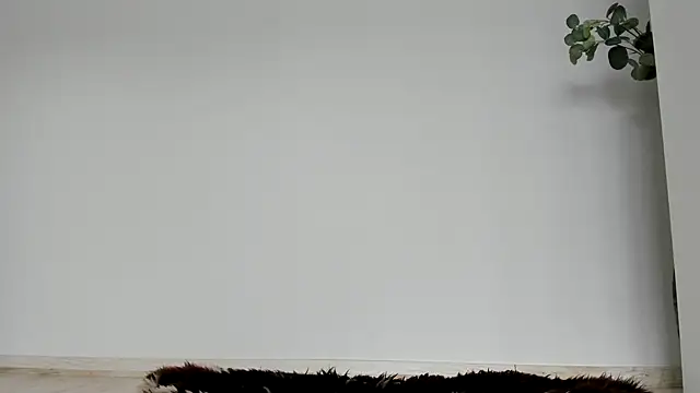 Snapshot of Cimbelka chatting on 06/01/26, 06:37 Cimbelka online show from 06/01/26, 06:37