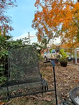 sizableunicorn7 online show from 11/06/25, 10:32