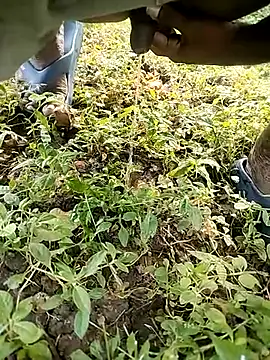 BlackhorseBBC online show from 10/14/25, 02:01