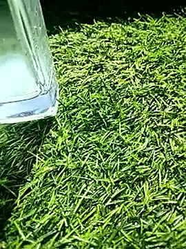 BlackhorseBBC online show from 02/18/26, 06:31