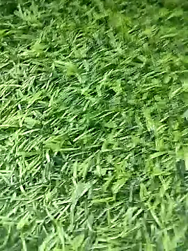 BlackhorseBBC online show from 04/12/26, 08:52