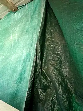 ShawnandDani7074 online show from 04/15/26, 04:36