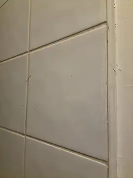 raen001 online show from 11/06/25, 08:54