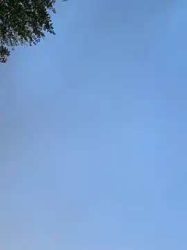 raen001 online show from 11/24/25, 08:47