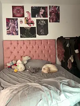  maki   online show from 12/20/25, 02:18