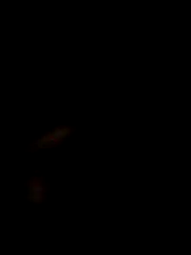 SofieLove 01 online show from 12/01/25, 07:35