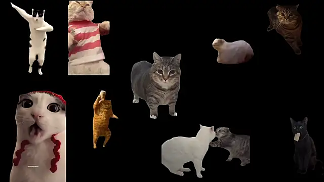 ch0wn m online show from 09/20/25, 11:55