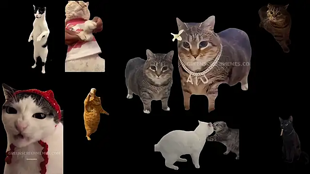 ch0wn m online show from 10/24/25, 10:44