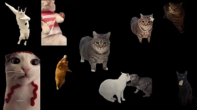 ch0wn m online show from 11/14/25, 01:21