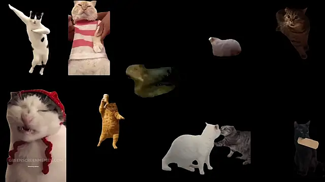 ch0wn m online show from 02/01/26, 02:59