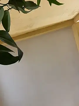 femboyslqueen online show from 12/01/25, 06:40