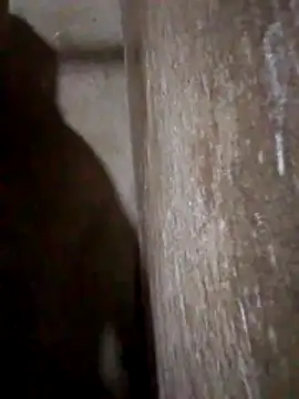 Lujor online show from 03/31/26, 11:38