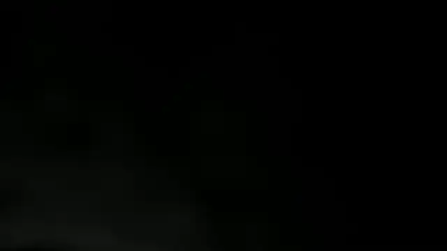 WILD FIREE  online show from 12/02/25, 08:15