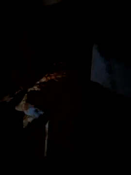 Snapshot of Real_Sucker chatting on 03/15/26, 04:57 Real Sucker online show from 03/15/26, 04:57