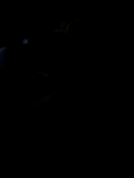 Snapshot of Reeelo chatting on 11/19/25, 05:57 Reeelo online show from 11/19/25, 05:57