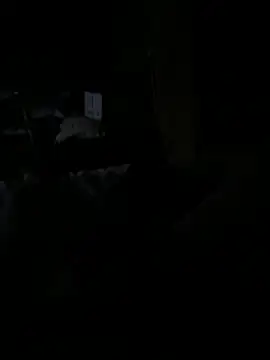 Snapshot of Reeelo chatting on 12/15/25, 04:06 Reeelo online show from 12/15/25, 04:06