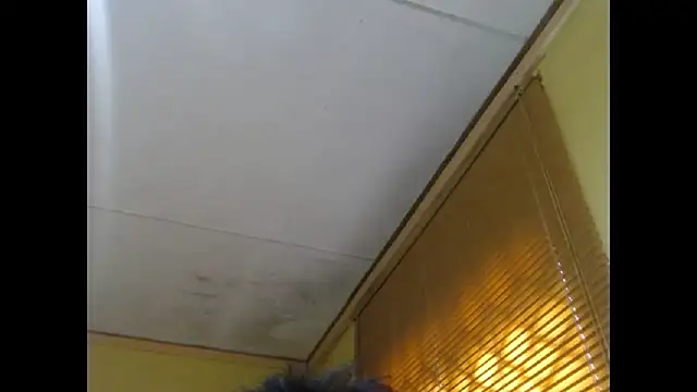 NawtyLisa online show from 03/03/26, 02:01