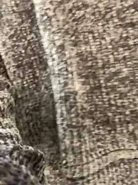 sunset24 online show from 10/13/25, 08:58