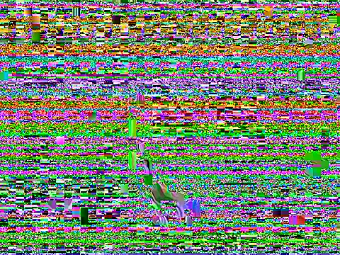 Dilfcam101 online show from 03/25/26, 09:26