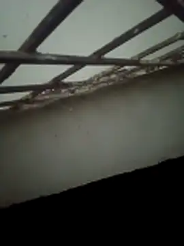 Daisygirl9 online show from 10/22/25, 09:36