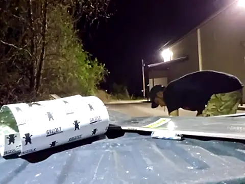 sloppytopkins online show from 04/11/26, 06:07